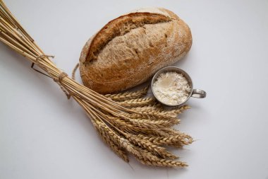 taze ekmek ve buğday