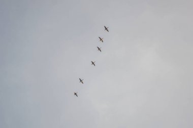 Gökyüzünde uçan kuş sürüsü