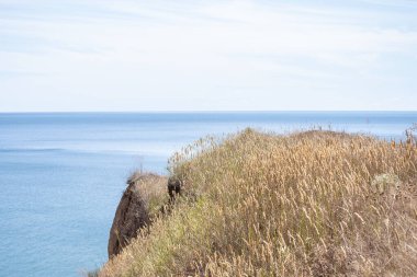 deniz ve mavi gökyüzü