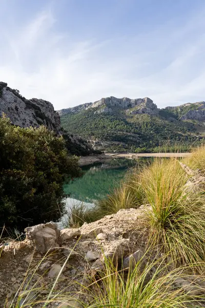 Majorca İspanya 'daki Paradisiacal gölün güzel panoramik manzarası. 