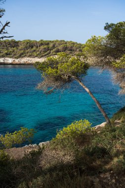 İspanya 'nın Mayorka adası Cala Mondrago' da turkuaz deniz suyu manzarası. Güneşli bir gün