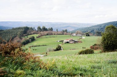 Çimenli tarlalar ve yuvarlanan tepeler. Kırsal bir manzara ve ortasında bir kır evi.. 