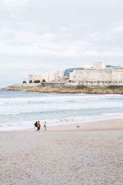 Köpekleri sahilde yürüyüş yapan bir aile..