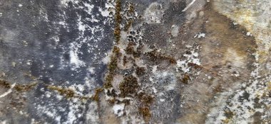 Grunge duvar dokusu arka planı. Eski kirli beton