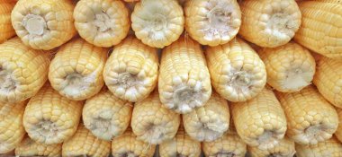 Mısır koçanı arka planı. Geleneksel Endonezya pazarında taze mısır satışı için hazır.