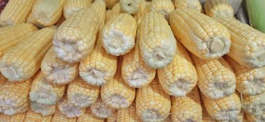 Mısır koçanı arka planı. Geleneksel Endonezya pazarında taze mısır satışı için hazır.