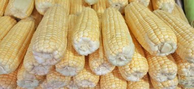 Mısır koçanı arka planı. Geleneksel Endonezya pazarında taze mısır satışı için hazır.