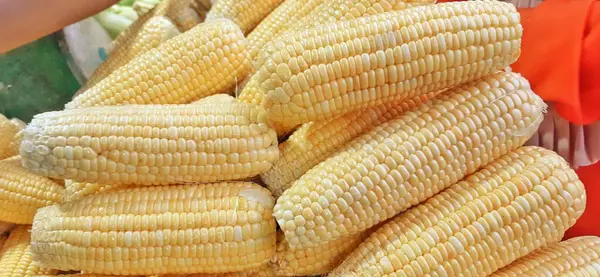 Mısır koçanı arka planı. Geleneksel Endonezya pazarında taze mısır satışı için hazır.