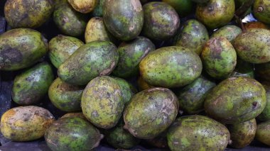 Bir yığın taze yeşil ambarella kedondong meyvesi.