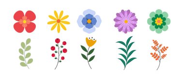 Bahar renk çiçek elementleri seti. Çiçek çiçeği süsleme vektör çizimi tasarımı