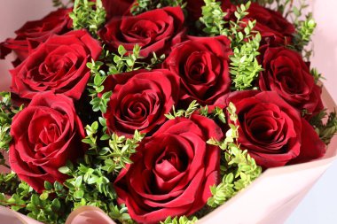 Sepette güzel kırmızı güller