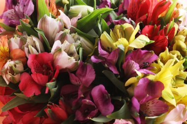 Renkli çiçek arka planı. bahar çiçeği kartı