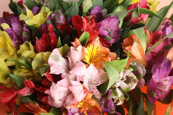 Renkli çiçek arka planı. bahar çiçeği kartı