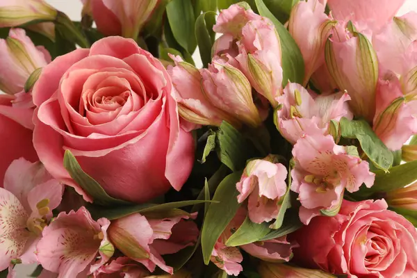 Pembe ve beyaz güller çiçek