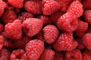 Olgun kırmızı ahududular kapanıyor. makro çekim