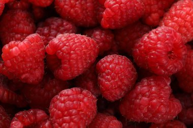 Arka plan olarak olgun ahududu, üst görünüm