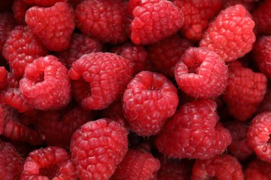 Taze olgun ahududu arkaplanı. Kırmızı böğürtlenli makro shot. yiyecek arka planı