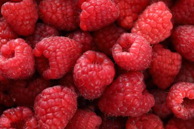 Arkaplanda taze ahududu var.