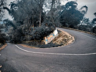 Bu görüntü, sık ormanlarla çevrili bir dağ yolunda keskin bir virajı gösteriyor. Bereketli yeşillik ve sisli ortam ona sakin ama maceraperest bir his veriyor. Yol sessiz ve tenha görünüyor..