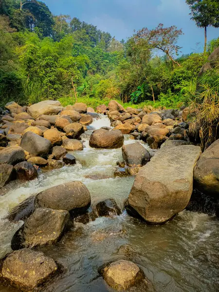 Bu görüntü, güneş ışığı altında canlı bir ormanın içinden akan kayalık bir nehir akıntısını yakalar. Su pürüzsüz taşların üzerine enerjik bir şekilde fışkırırken yemyeşil yapraklar huzurlu doğal manzarayı çerçeveler..