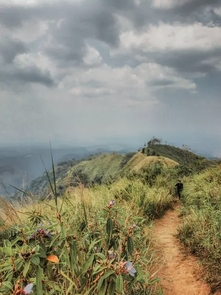 Manzaralı bir yürüyüş yolu, çarpıcı ve bulutlu bir gökyüzünün altındaki yemyeşil bir dağ sırtı boyunca esiyor. Uzun otlar ve kır çiçekleriyle çevrili, sisli mesafeye uzanan panoramik manzaralı, yalnız bir yürüyüşçü toprak yolda yürür..