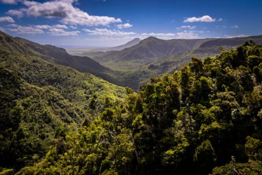 güzel bir plaj tropikal bir adada