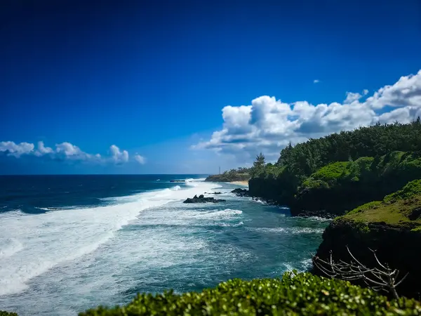 Bu görüntü, kumlu bir sahile çarpan güçlü bir okyanus dalgasını gösteriyor. Dalga beyaz su ve köpükten bir duvar oluşturur, arka planda okyanusun turkuaz suyu görülebilir. Plaj sahneleri, okyanus dalgaları ve doğa fotoğrafçılığı için mükemmel.