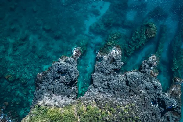 güzel bir plaj tropikal bir adada