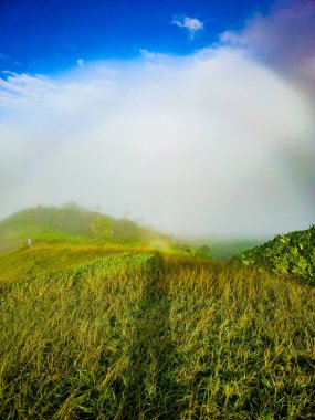 Bereketli yeşil otlar ve yuvarlanan tepelerle puslu bir manzara. Mavi bir gökyüzünün altında yoğun bir sis tarafından kısmen gizleniyor..