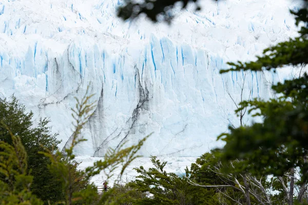 Perito Moreno Glacier Calafate Argentina January 2023 Here One South — ストック写真