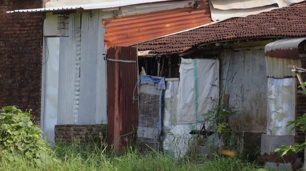 blur photo of a slum environment, a small house on the edge of a rice field, a house made of zinc and sacks