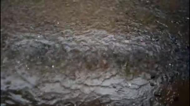 Şiddetli Yağmur Suyu Yere Düşüyor — Stok video