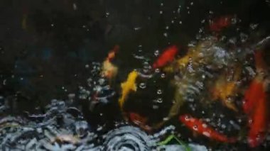 Su yüzeyinin ve baloncukların renkli arkaplanı