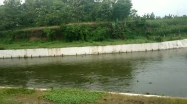 Bahçedeki yeşil su kanalı