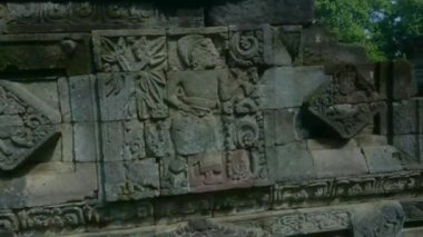 Eski Java Hindu tapınağı alanındaki antik taş yardım süslemelerinin etrafını saran görüntüsü