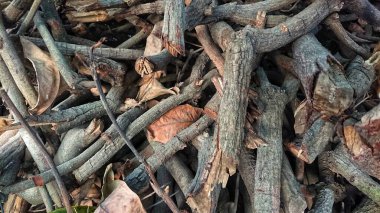 Gece görüşü harfleri neon lamba binası 