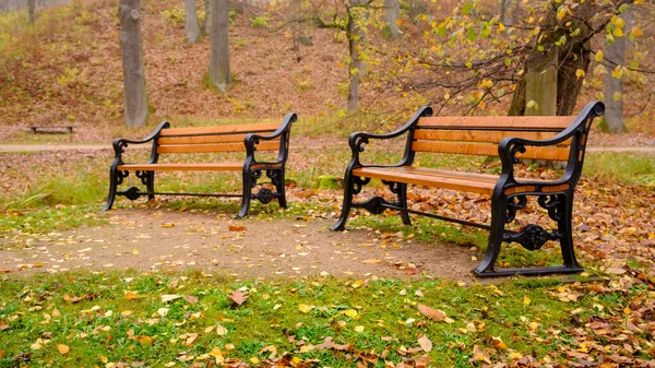 Dwa Leżaki Pokryte Jesiennymi Liśćmi Eleganckie Kroki Dekoracyjnymi Elementami Metalowymi — Zdjęcie stockowe