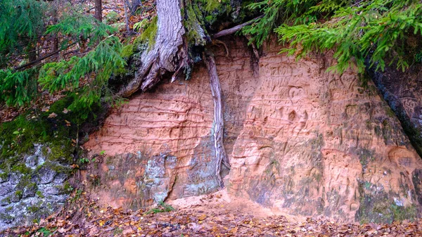 Grotte Naturelle Dans Rocher Grès Ancienne Rive Gauja Mur Sculpté — Photo