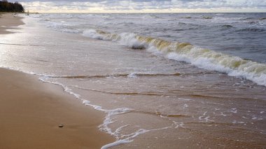 Baltık Denizi kıyısı, Riga Körfezi. Gece fırtınasından sonraki gün. Sonbahar Ekim