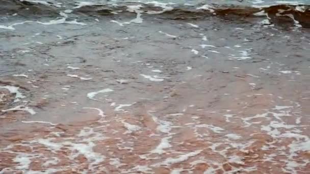 Балтійське Море Хвилі Вранці Після Шторму Вода Хмарна Брудна — стокове відео