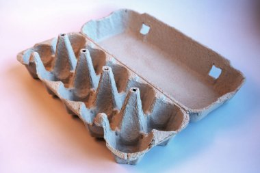 Açılmış yumurta kutusu ve beyaz arka planda on yumurta. Geri dönüştürülmüş materyal, kullanışlı