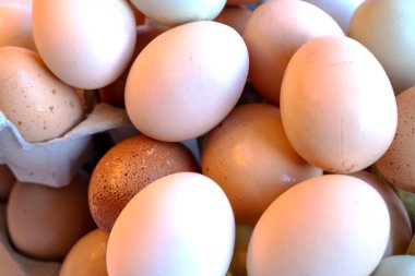 Karton yumurta kutusundaki organik tavuk yumurtaları. Yumurtalar vitamin, fosfor, çinko ve bol miktarda kolin içerir. Geri dönüşümlü malzemeler için yumurta kabı.
