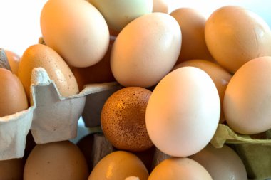 Karton yumurta kutusundaki organik tavuk yumurtaları. Yumurtalar vitamin, fosfor, çinko ve bol miktarda kolin içerir. Geri dönüşümlü malzemeler için yumurta kabı.
