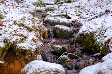 Kışın küçük bir nehir. Nehirdeki donmuş su değil. Kışın doğa. Karla kaplı nehir kıyısında. Skanaiskalns Doğa Parkı. Kasım, Letonya 'da Mazsalaca' da ilk kar yağışıdır.