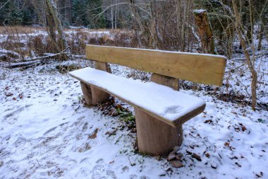 Doğa parkında yuvarlak kütüklerden yapılmış ahşap bir bank duruyor. Tezgah buz ve karla kaplı. Skanaiskalns Doğa Parkı. Kasım, Letonya 'da Mazsalaca' da ilk kar yağışıdır..
