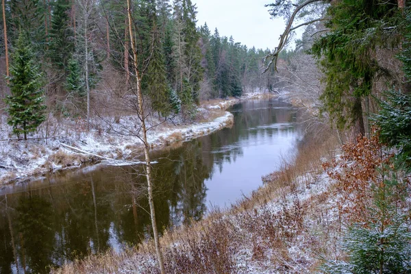 Řeka Salaca Protkána Vysokými Pískovcovými Útesy Přírodní Park Skanaiskalns Listopad — Stock fotografie