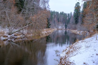 Salaca nehri yüksek kumtaşı kayalıklarıyla kıvrılır. Skanaiskalns Doğa Parkı. Kasım, Letonya 'da Mazsalaca' da ilk kar yağışıdır.