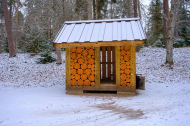 Odunları kuru odunlarla depolamak için. Kasım ayında Mazsalac, Letonya 'da Skanaiskalnas doğa parkı.