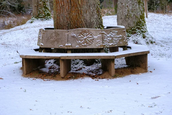Eine Bank Form Eines Schneekreises Naturpark Umkreist Den Stamm Einer — Stockfoto