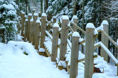 Karlı ahşap merdivenler, ormanda turistik patika. Gauja Ulusal Doğa Parkı. Letonya